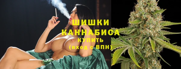 соль ск Дмитриев