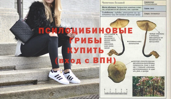 герыч Нягань