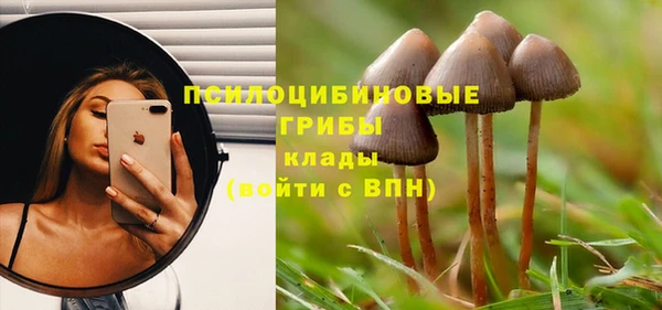 спиды Дмитров
