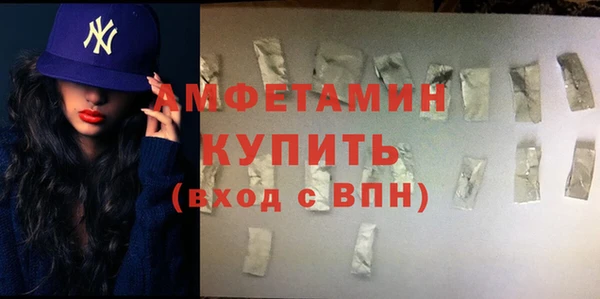 соль ск Дмитриев