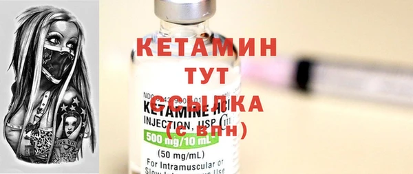 соль ск Дмитриев