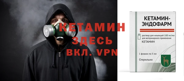 соль ск Дмитриев
