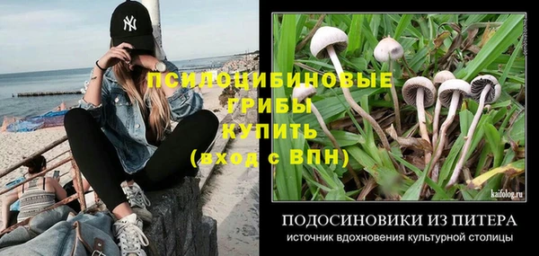 спиды Дмитров