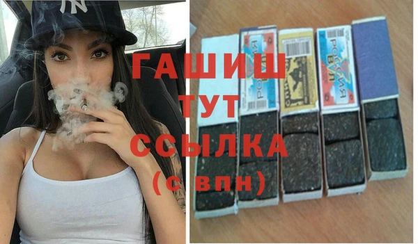 соль ск Дмитриев