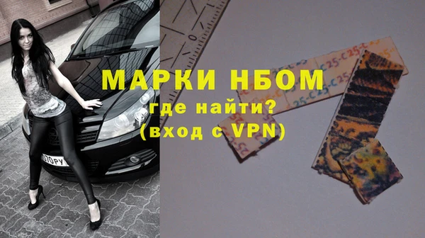 соль ск Дмитриев