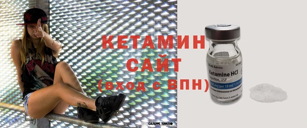 соль ск Дмитриев