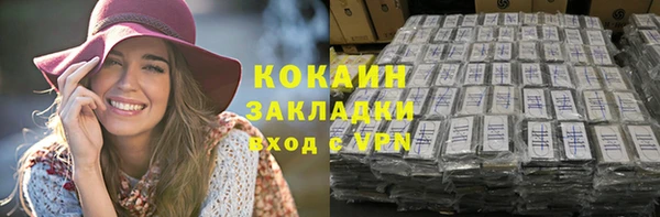 соль ск Дмитриев