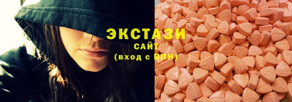 соль ск Дмитриев