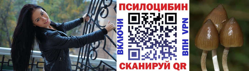 Купить  Качканар  Псилоцибиновые грибы Magic Shrooms 